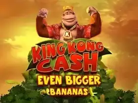 1xbet what is it